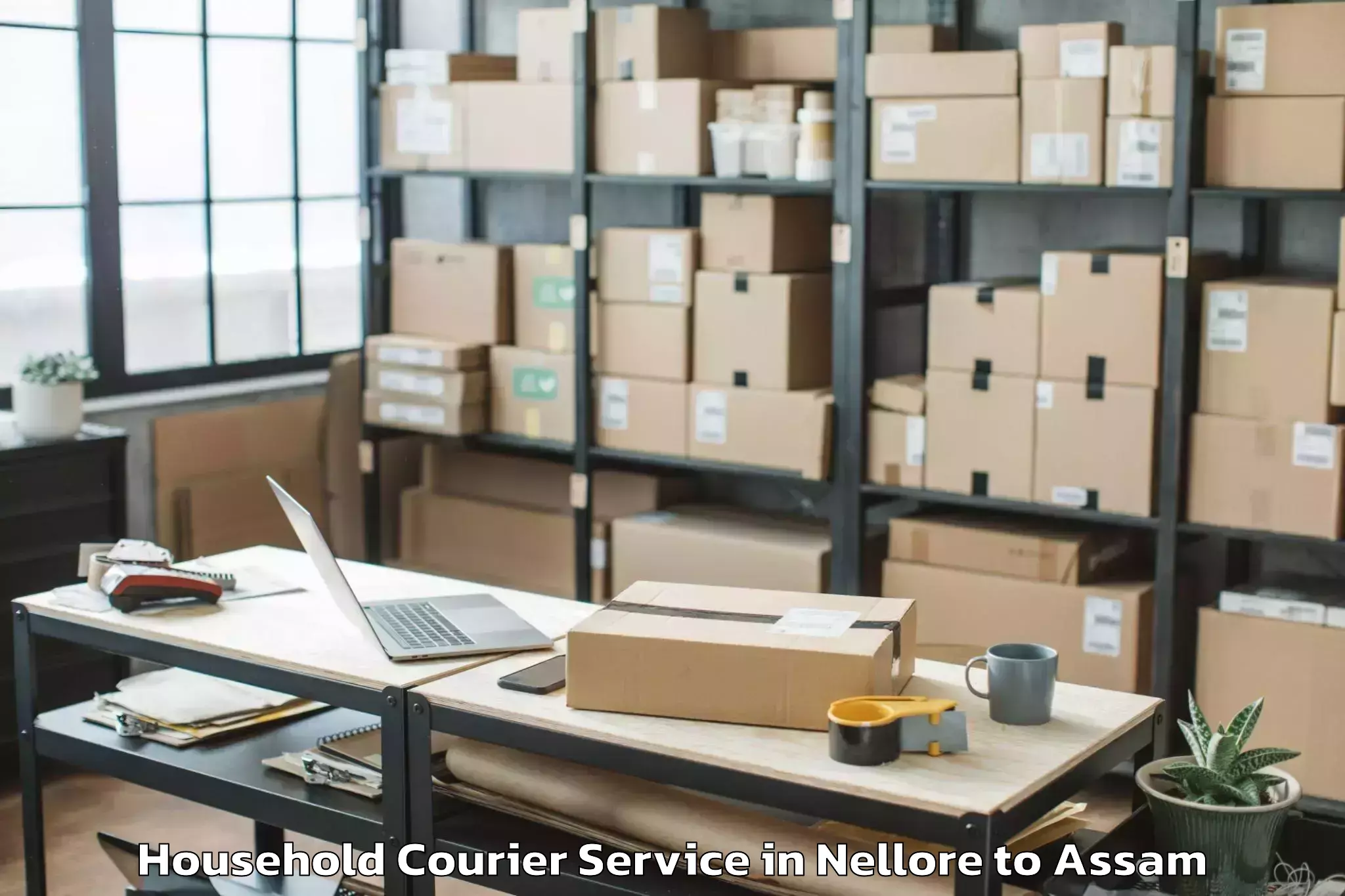 Hassle-Free Nellore to Balighat Household Courier